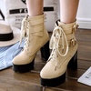 image:imageLace Up Ankle Boots for Women Round Toe Ankle Buckle Block High Heel Platform Knight Booties4beige